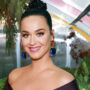 Katy Perry bullied an American Idol contestant?
