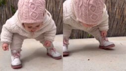 Child pulls over in the middle of the road to say hello to an insect