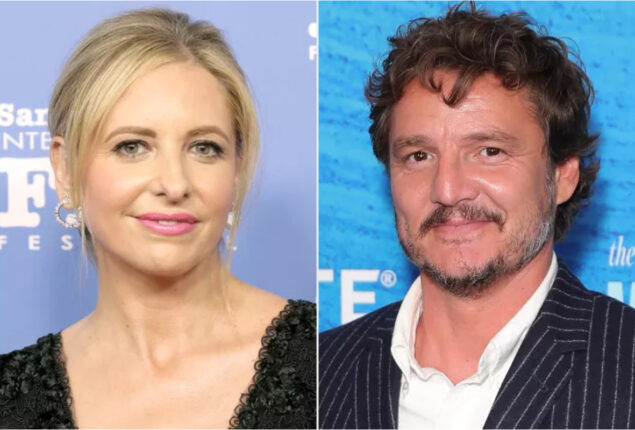 Sarah Michelle Gellar is called as “Incredibly Kind” by Pedro Pascal