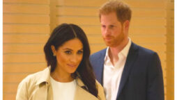 Meghan Markle ‘hated’ being member of the Royal Family, caused ‘great divide’