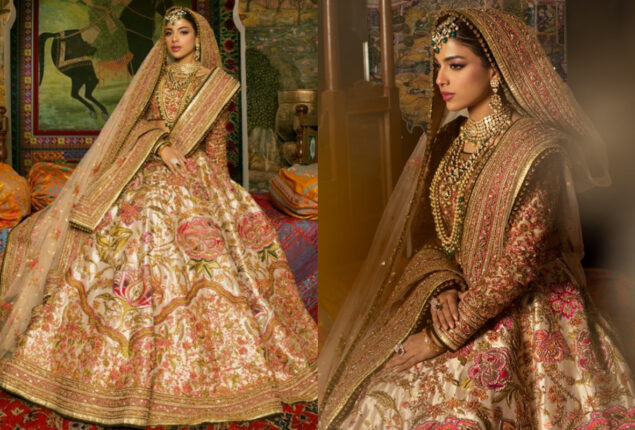Sonya Hussyn excudes royal beauty in bridal outfit