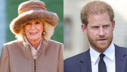 King Charles will not forgive Harry’s attacks on Queen Camilla