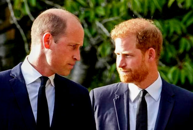 William and Charles will dispel Harry’s ‘delusion’ just one need to apologise
