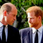 William and Charles will dispel Harry’s ‘delusion’ just one need to apologise