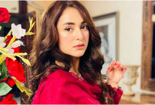 Yumna Zaidi recent interview goes viral on internet