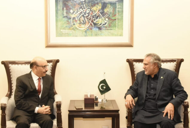 Dar, Masood discusses bilateral economic relations between Pak, USA