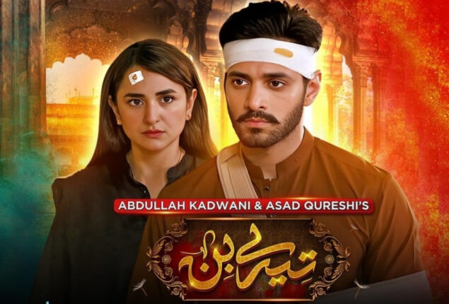 Tere Bin fans are curious after the OST disappears from YouTube