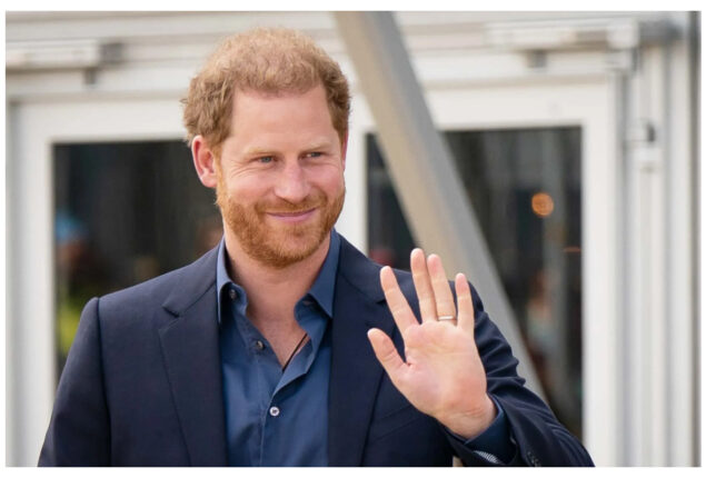 Prince Harry’s interest in pointing out faults is a ‘two-edged sword’