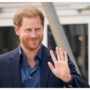 Prince Harry’s interest in pointing out faults is a ‘two-edged sword’