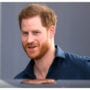 Prince Harry’s claims are full of classic narrative tropes