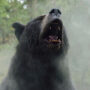 Cocaine Bear shatters global box office with $52 million