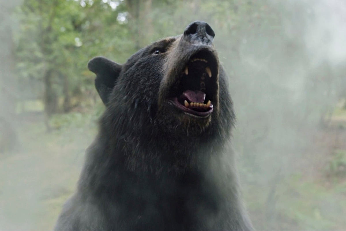 Cocaine Bear box office