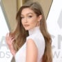 Gigi Hadid admits she is ‘Nepo Baby’, adding that she is conscious of her advantages
