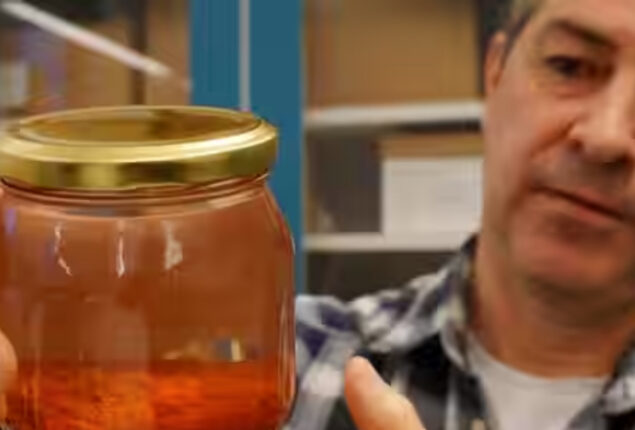 Read viral: Archaeologists found more than 500 years spices