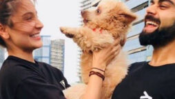 Virat Kohli puppy