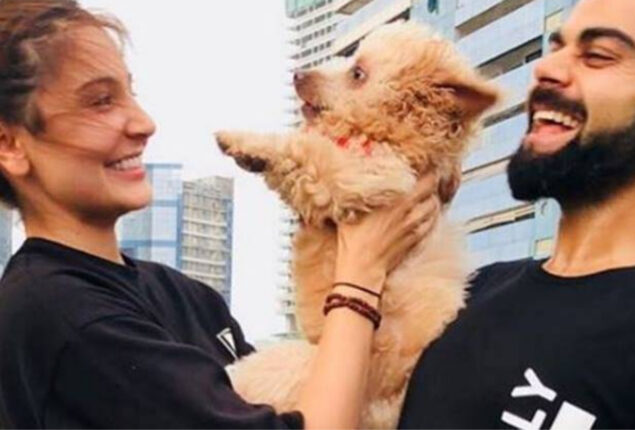 Virat Kohli puppy