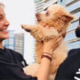 Read Viral: Virat Kohli uploaded throwback cute puppy image stunt netizens