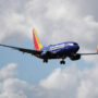 After issue due to bird strikes, Southwest flight returns to Havana