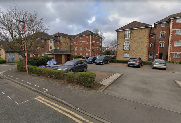 Boy, aged 11, dies in east London flat fire