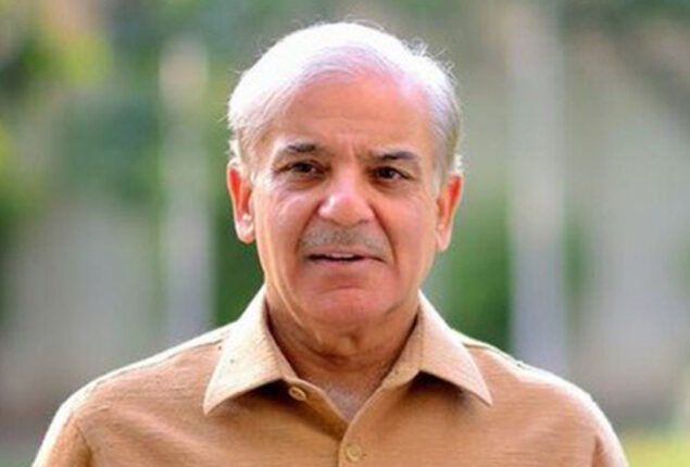 PM Shehbaz reiterates commitment to eradicate all forms of polio