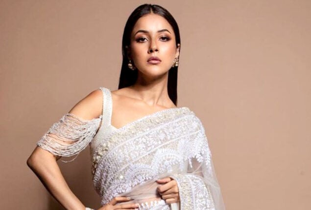 Shehnaaz Gill’s bold photo shoot grabs attention
