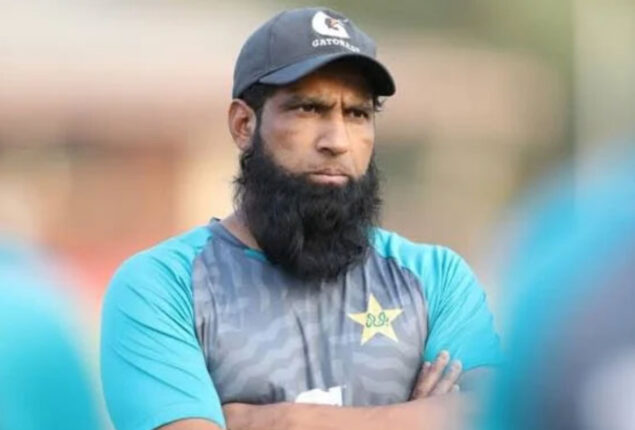 Muhammad Yousuf head coach