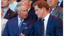 Prince Harry indirects ‘the men in his family verbally abuse their wives’