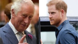 King Charles is ‘doomed’ if Prince Harry ‘has nothing left to lose