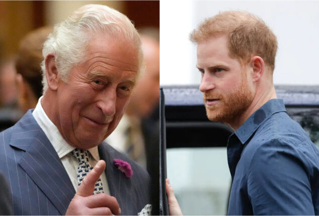 King Charles confronted Prince Harry over suing media outlets