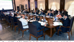 Sindh cabinet