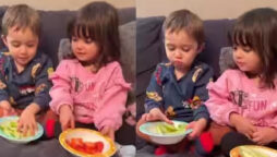 Watch viral: Mother test twins with two different fruits to see if they would share