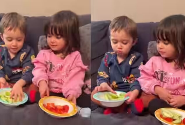 Watch viral: Mother test twins with two different fruits to see if they would share