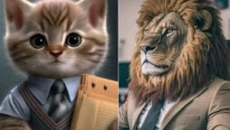 AI technology corporate roles