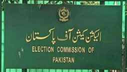 ECP appoints