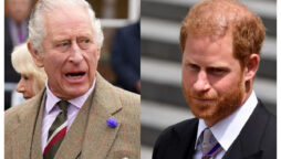 King Charles should not avoid Prince Harry as he is a ‘walking threat’