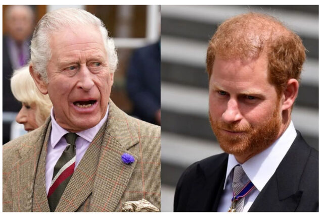 King Charles should not avoid Prince Harry as he is a ‘walking threat’
