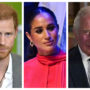 Harry and Meghan believe King Charles has marginalized them