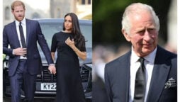 Harry and Meghan to show their devotion to King Charles?