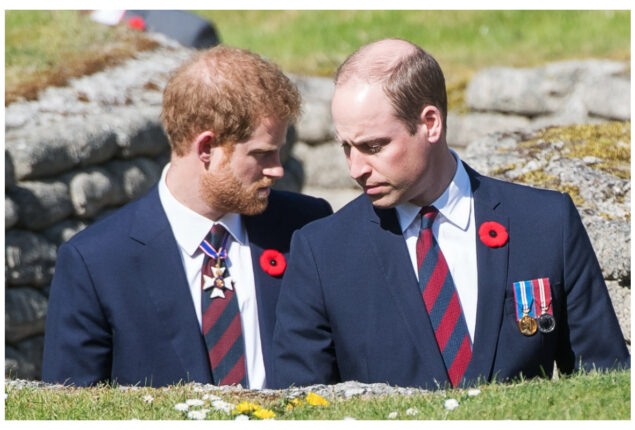 Prince Harry has no plans to reconcile with Prince William