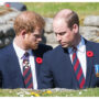 Prince Harry has no plans to reconcile with Prince William