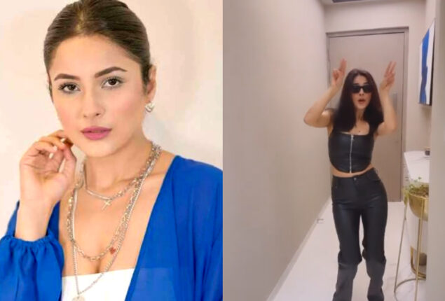 Shehnaaz Gill