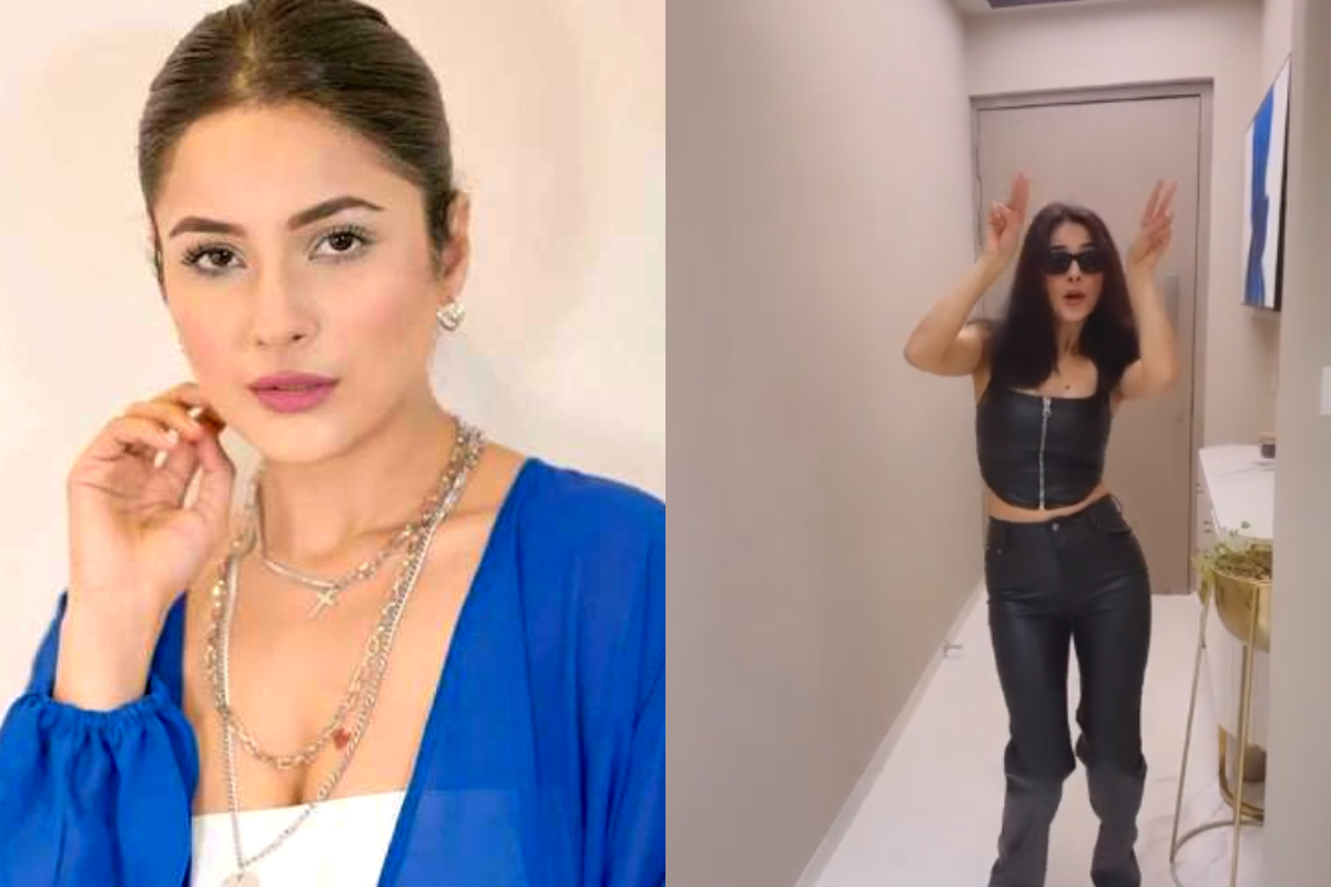 Shehnaaz Gill