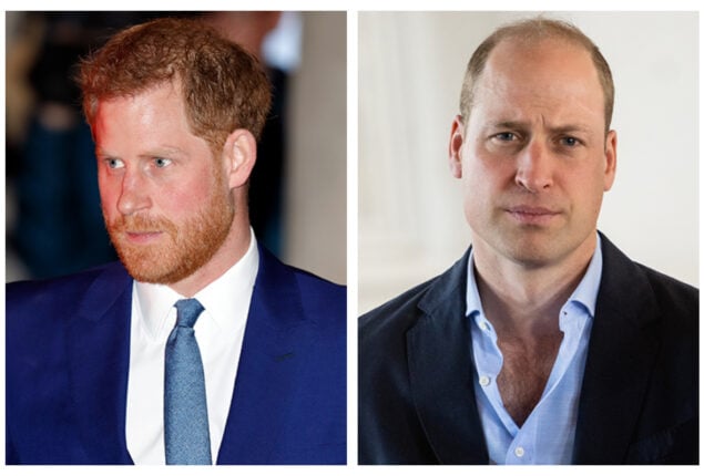Prince Harry needs more cash than Prince William