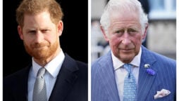 Prince Harry & King Charles