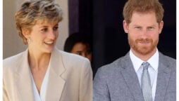 Princess Diana would be ‘displeased’ with Prince Harry & Prince William’s dispute: Expert