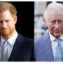 This is why King Charles might not include Prince Harry in his will