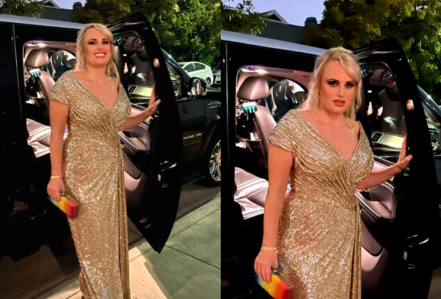 Rebel Wilson Looks Gorgeous In Shimmery Dress At Oscars 23