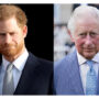 Prince Harry will grab the spotlight from King Charles on coronation