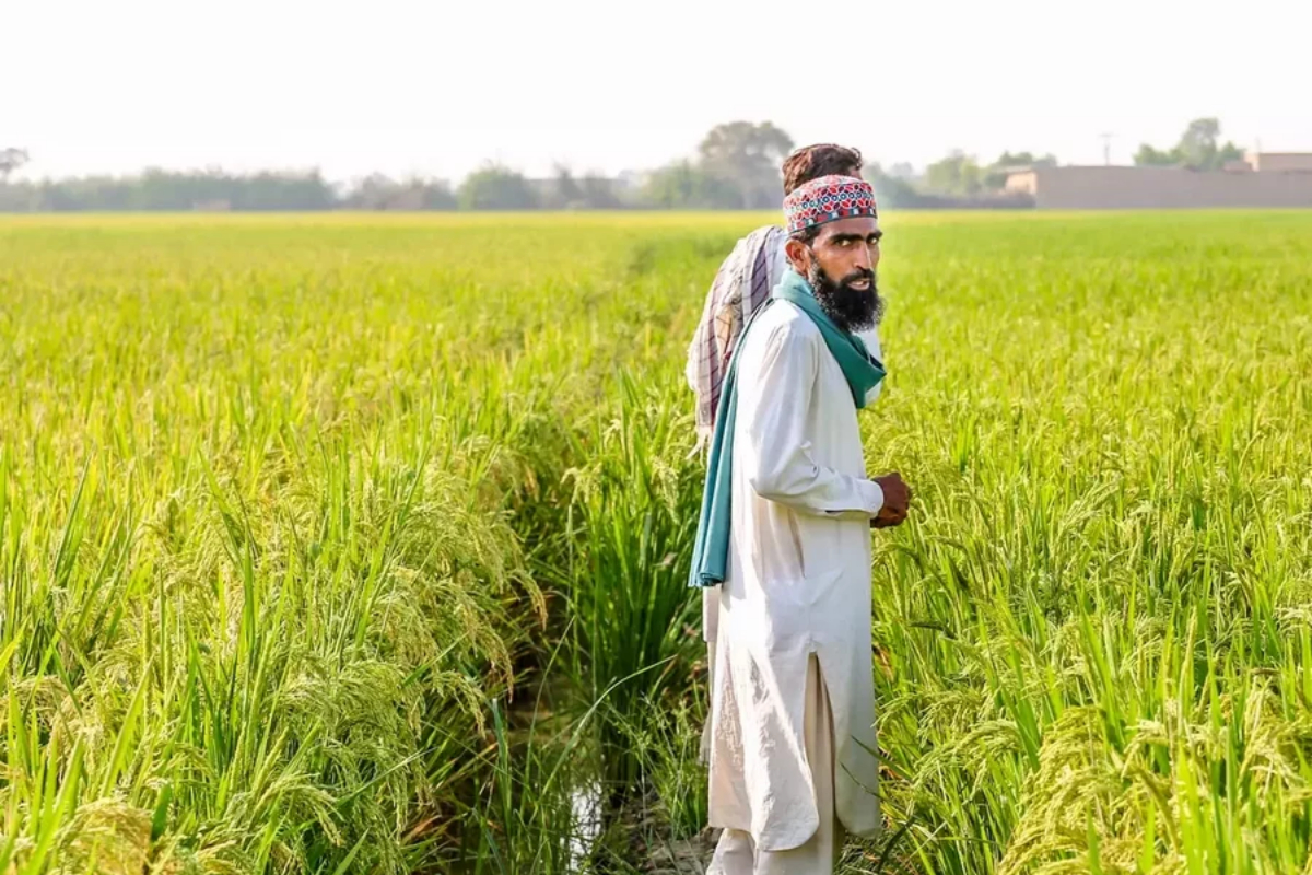 Punjab Announces Rs100 Billion Interest-Free Loan Scheme for Farmers