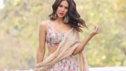 Sonam Bajwa’s Journey From Air Hostess To Model